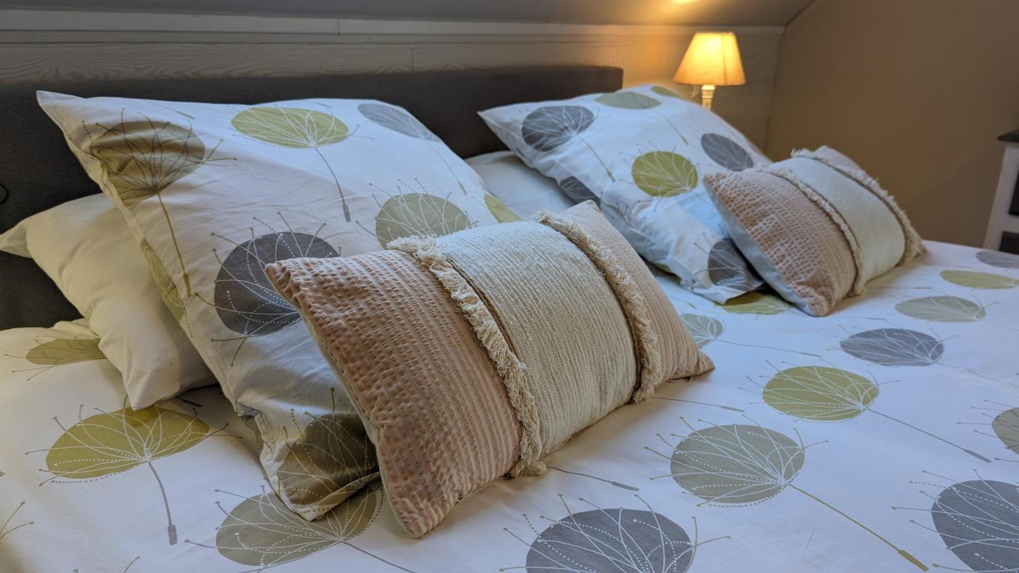 Au Bonheur De Cisse Bed & Breakfast Chouzy-sur-Cisse Exterior photo